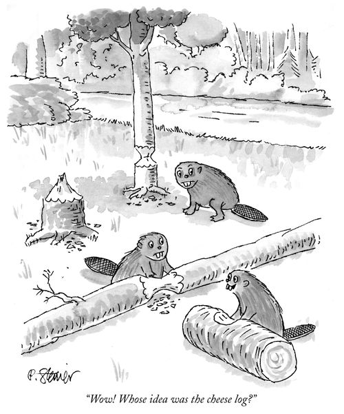 "Wow! Whose idea was the cheese log?"