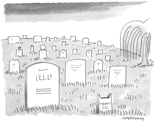 A tombstone in a cemetery has cat ears and reads "Meow";a cat buried beside its owner.