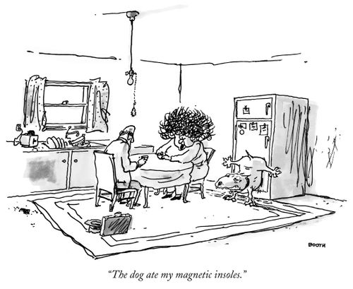 "The dog ate my magnetic insoles."