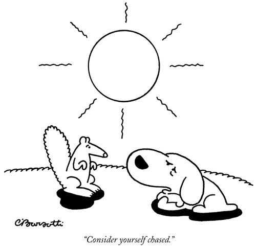 "Consider yourself chased."