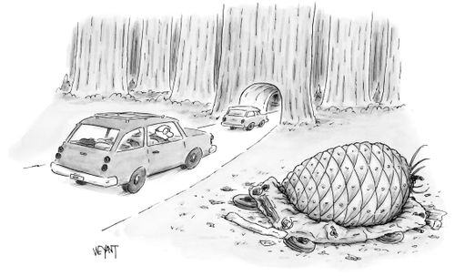 Giant pine cone crushes car. 