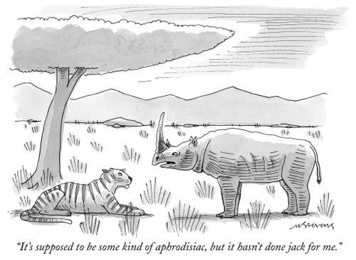 "It's supposed to be some kind of aphrodisiac, but it hasn't done jack for me."