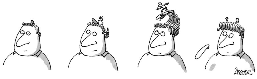 Surfing the Coif