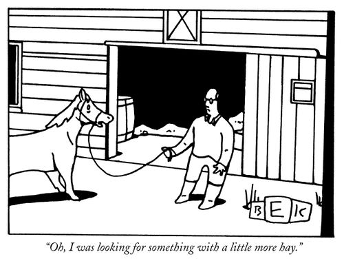 "Oh, I was looking for something with a little more hay."