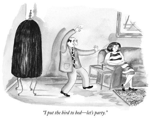 "I put the bird to bed - let's party."