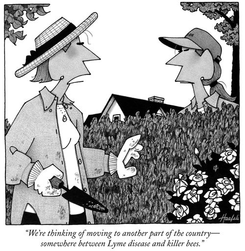 "We're thinking of moving to another part of the country—somewhere between Lyme disease and killer bees."