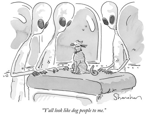 "Y'all look like dog people to me."