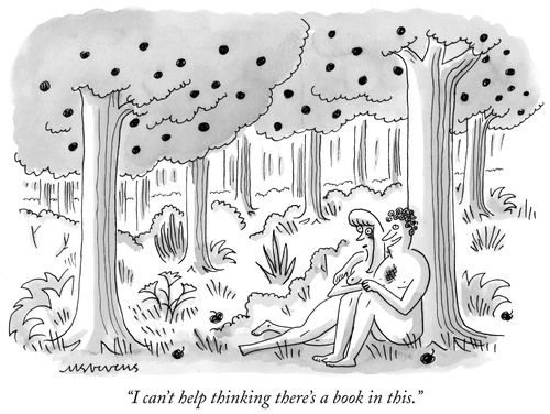 "I can't help thinking there's a book in this."