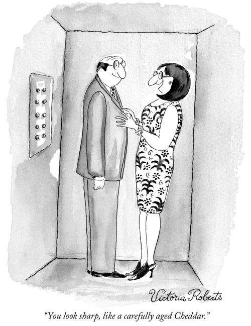 "You look sharp, like a carefully aged Cheddar."