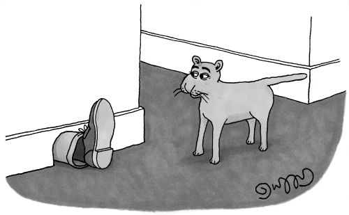 Well-Dressed Foot Sticks Out Of Mouse-Hole To The Bemusement Of The Cat