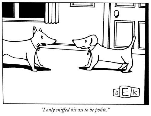 "I only sniffed his ass to be polite."