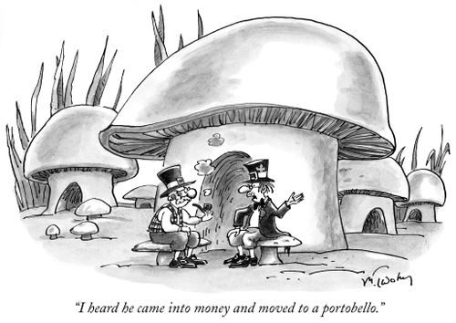 "I heard he came into money and moved to a portobello."