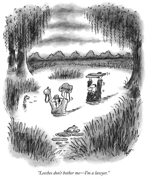 "Leeches don't bother me—I'm a lawyer."