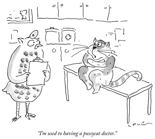 "I'm used to having a pussycat doctor."
