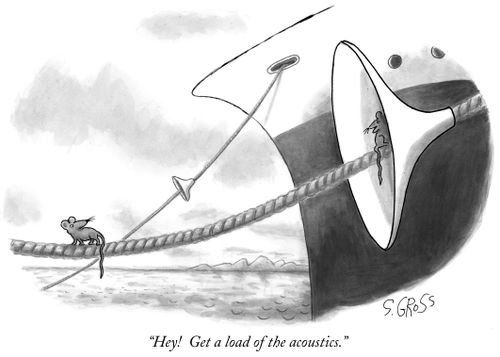 "Hey! Get a load of the acoustics."