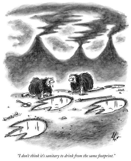 "I don't think it's sanitary to drink from the same footprint."