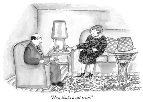 "Hey, that's a cat trick."