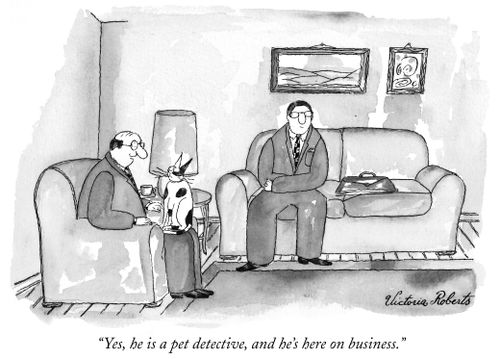 "Yes, he is a pet detective, and he's here on business."