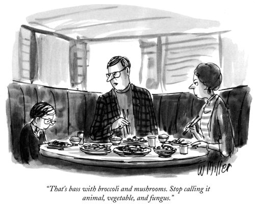 "That's bass with broccoli and mushrooms. Stop calling it animal, vegetable, and fungus."