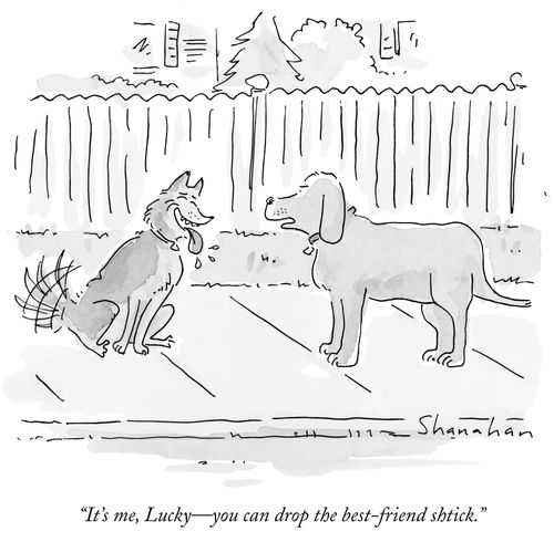 "It's me, Lucky—you can drop the best-friend shtick."