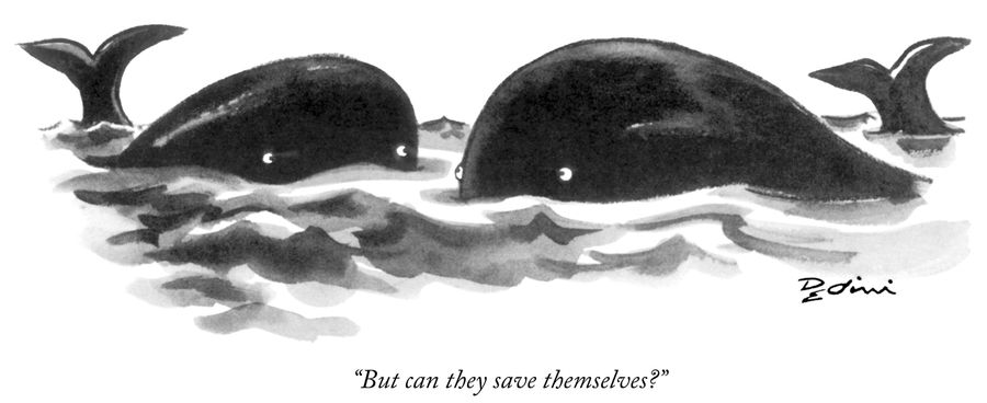 "But can they save themselves?"