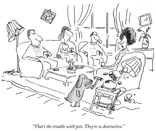 "That's the trouble with pets. They're so destructive."