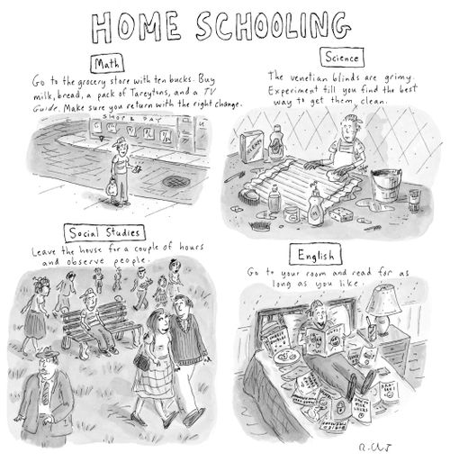 'Home Schooling'