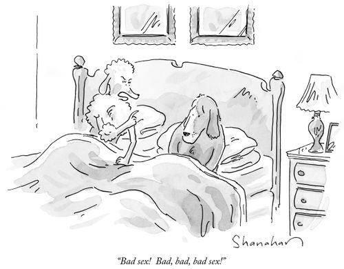 "Bad sex! Bad, bad, bad sex!"