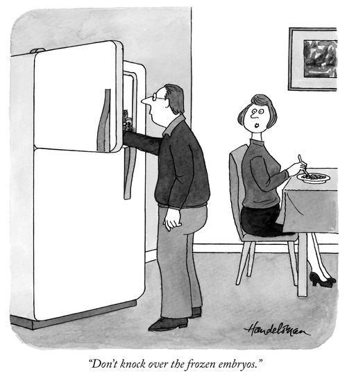 "Don't knock over the frozen embryos."