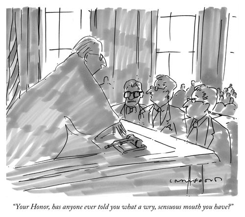 "Your Honor, has anyone ever told you what a wry, sensuous mouth you have?"