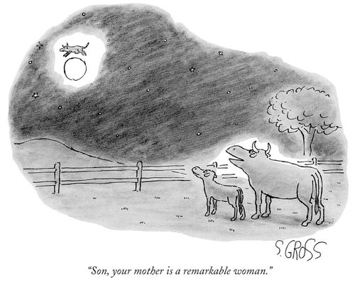 "Son, your mother is a remarkable woman."