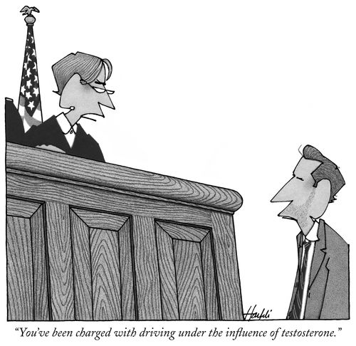 "You've been charged with driving under the influence of testosterone."