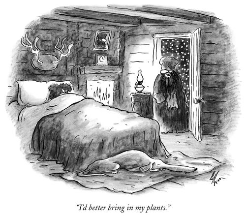 "I'd better bring in my plants."