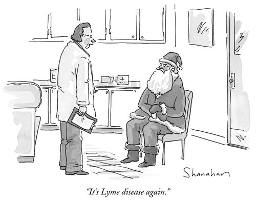 "It's Lyme disease again."