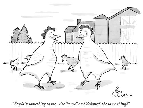 "Explain something to me. Are 'boned' and 'deboned' the same thing?"