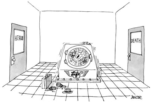 'Life Cycle'
