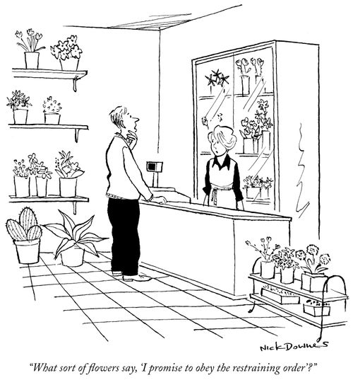 "What sort of flowers say, 'I promise to obey the restraining order'?"