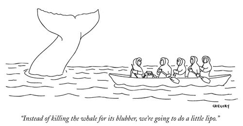 "Instead of killing the whale for its blubber, we're going to do a little lipo."