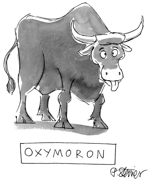'Oxymoron'