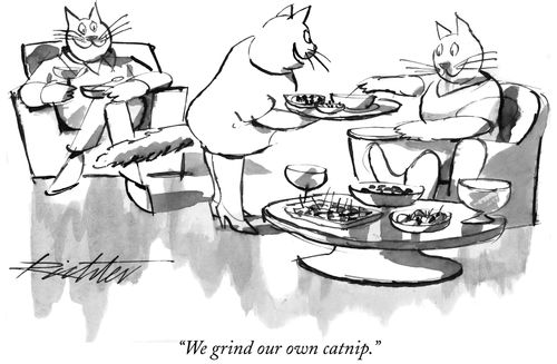 "We grind our own catnip."