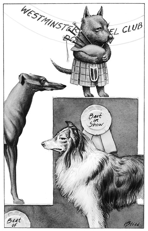 A Scottish Terrier playing bagpipes wins the dog show.