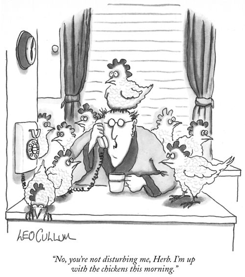 "No, you're not disturbing me, Herb. I'm up with the chickens this morning."