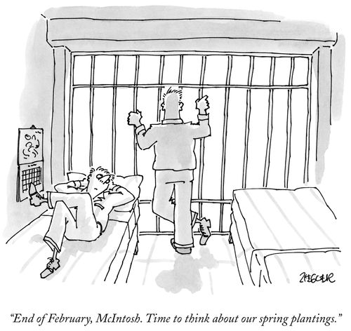 "End of February, McIntosh. Time to think about our spring plantings."