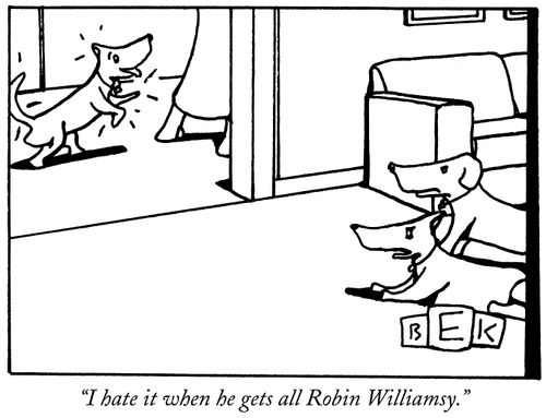 "I hate it when he gets all Robin Williamsy."