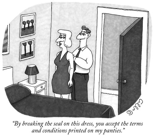 "By breaking the seal on this dress, you accept the terms and conditions printed on my panties."