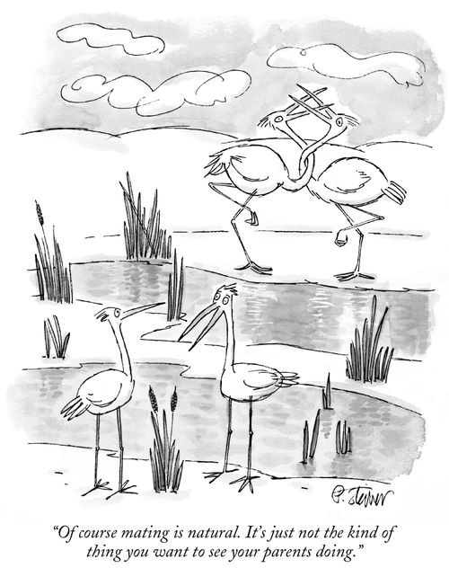 "Of course mating is natural. It's just not the kind of thing you want to see your parents doing."