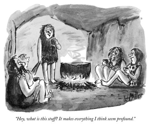 "Hey, what is this stuff? It makes everything I think seem profound?"