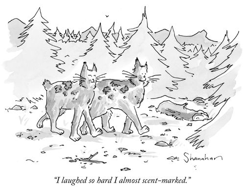 "I laughed so hard I almost scent-marked."