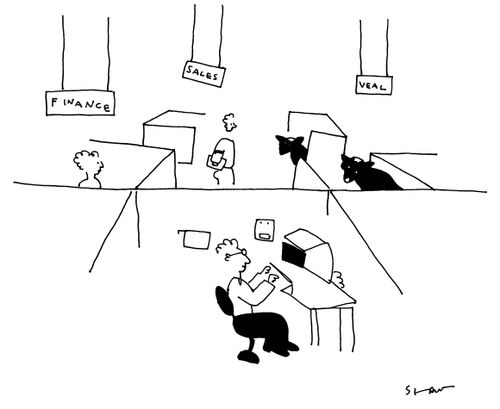 Finance, Sales, Veal.