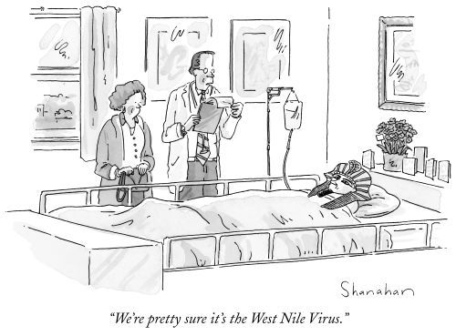 "We're pretty sure it's the West Nile Virus."